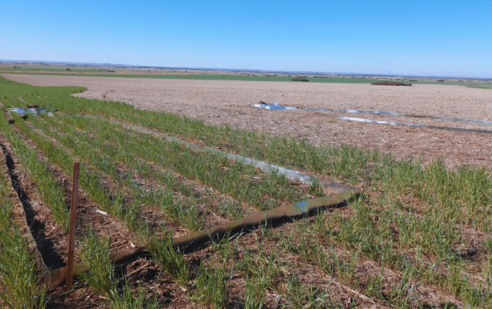 San Luis: los desafíos para proteger el suelo en zonas&nbsp;semiáridas