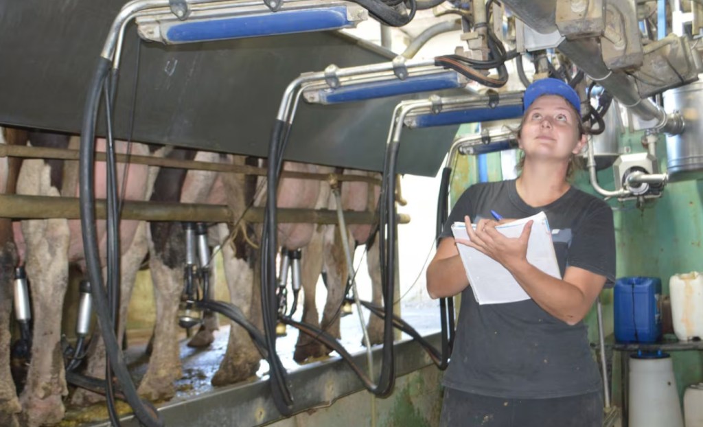 El futuro de la leche: Innovación tecnológica que revoluciona la eficiencia de los&nbsp;tambos