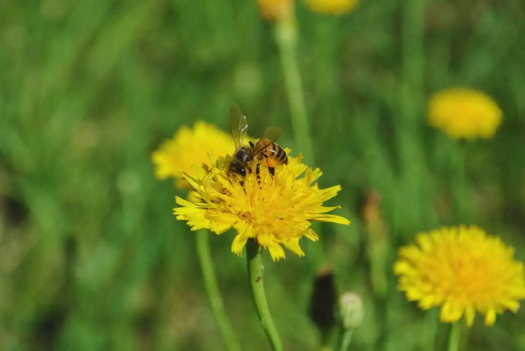 Un nuevo valor desde el&nbsp;Delta