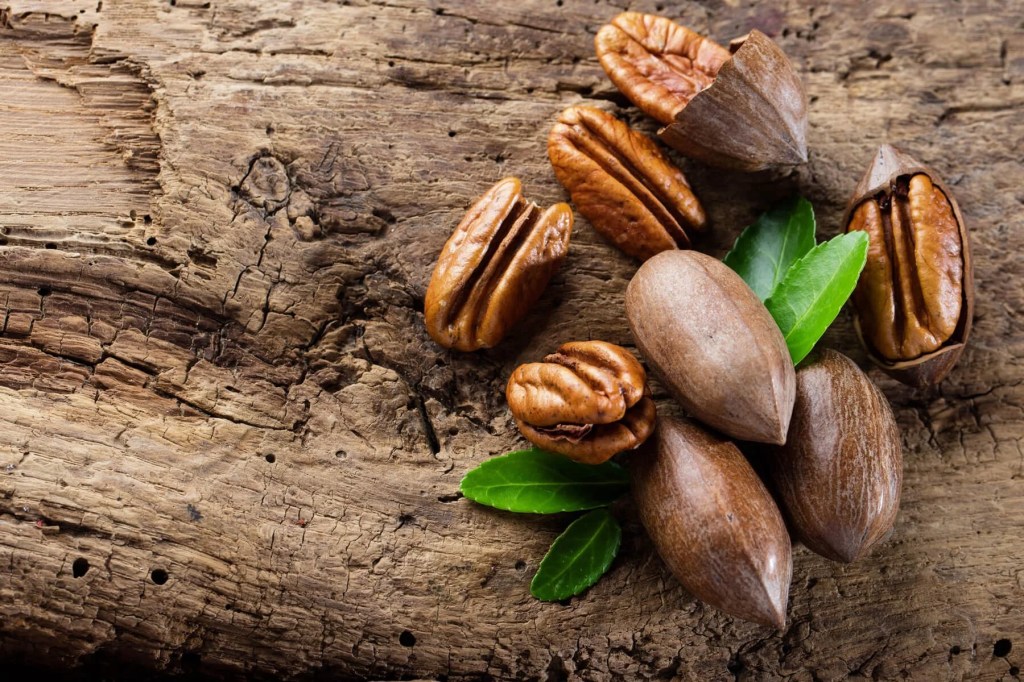 Nueces con futuro: el ascenso del pecán en zonas&nbsp;rurales