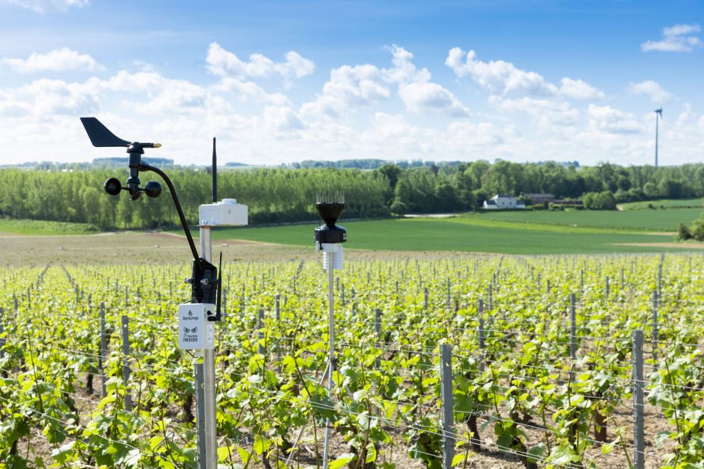 Clima benéfico para el agro antes de&nbsp;Navidad