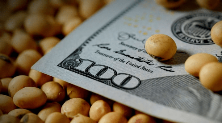 La Bolsa de Cereales de Córdoba analizó el escenario global de soja, maíz y&nbsp;trigo