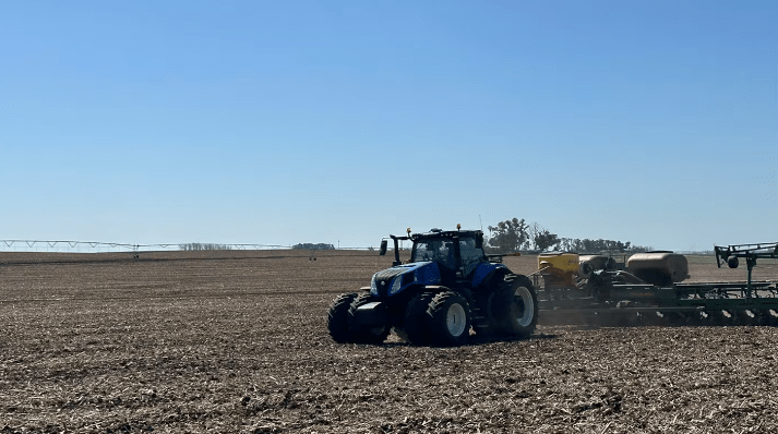 El maíz temprano gana protagonismo en una campaña que apunta a un récord&nbsp;histórico