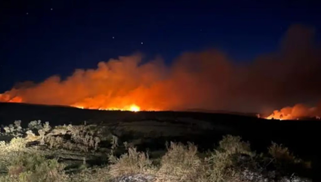 Advierten sobre el regreso de los focos ígneos en establecimientos rurales de la región&nbsp;central