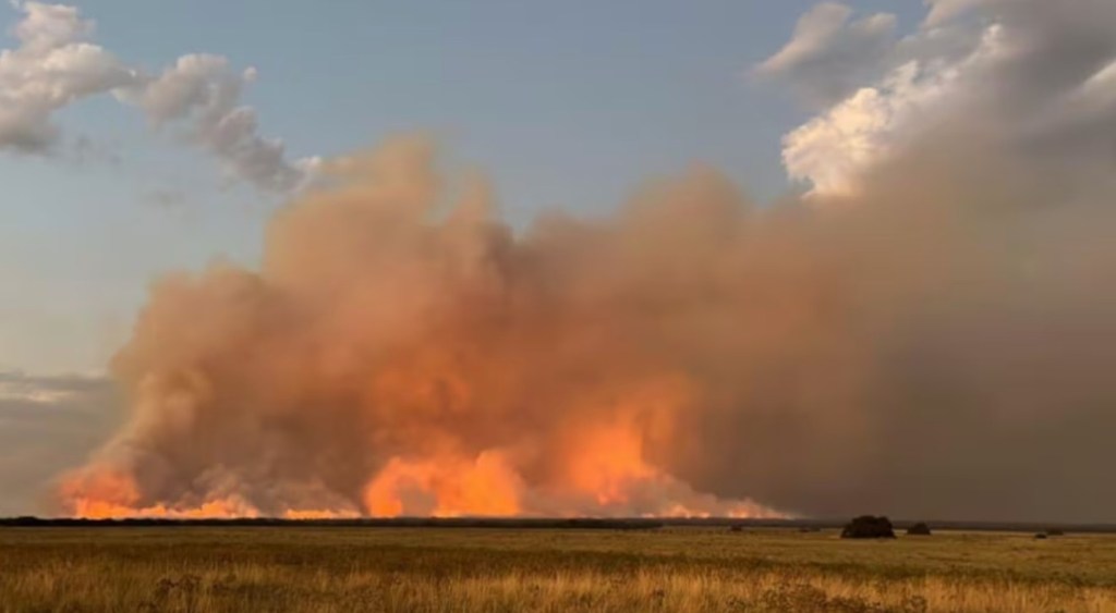 El Banco Nación lanzó una línea de asistencia financiera para productores afectados por el fuego