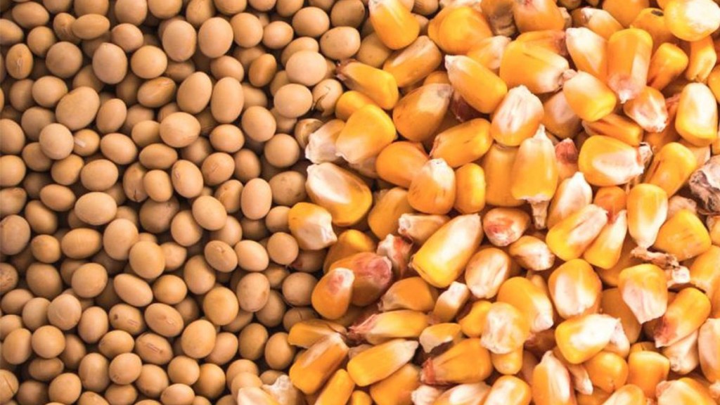 La cosecha récord de soja y maíz impulsa nuevas proyecciones para el agro&nbsp;argentino