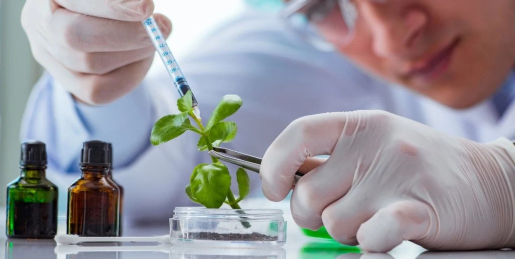 Derogaron una norma sobre patentes biotecnológicas y aseguran que favorecerá la innovación en el agro