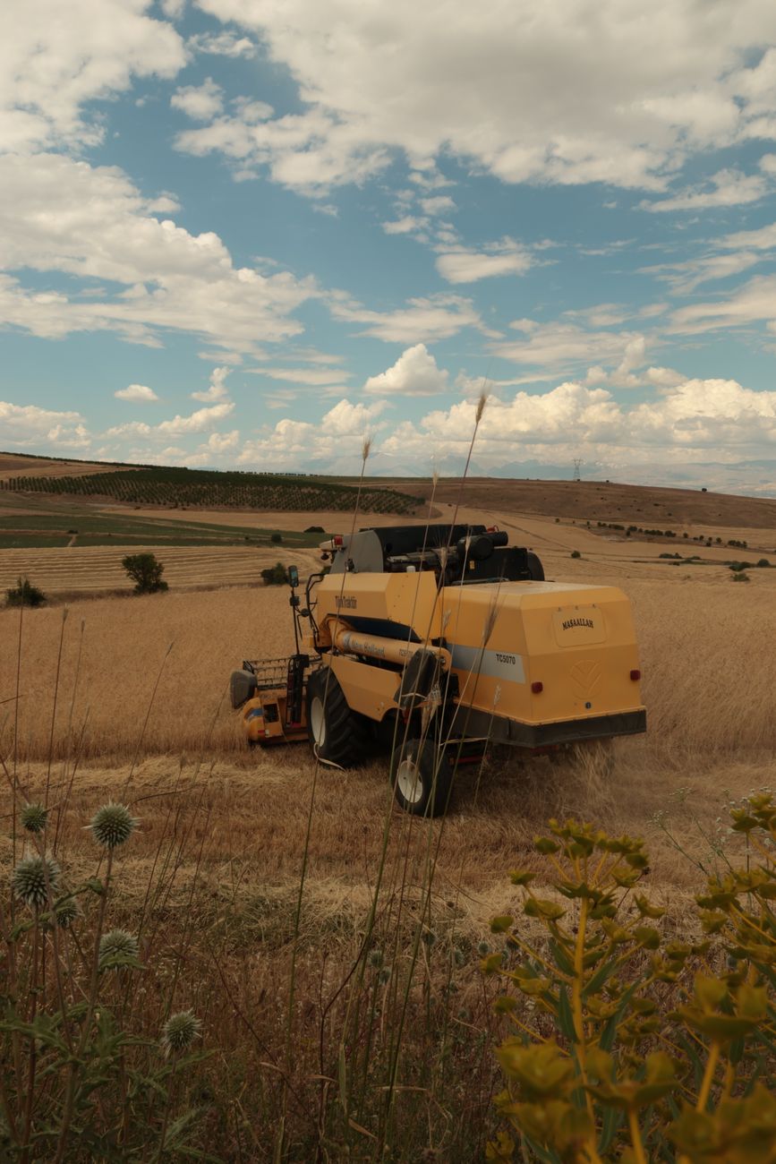 Exportaciones agrícolas: el campo crece 128% y apunta a nuevos&nbsp;horizontes
