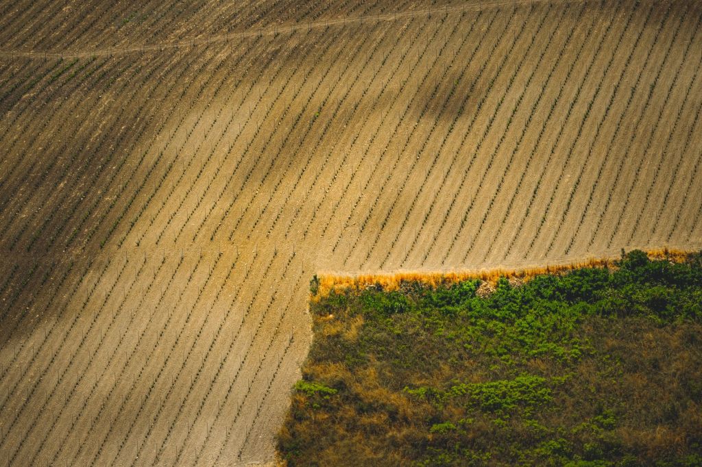 Agricultura ante El Niño: tormentas y calor extremo en el&nbsp;horizonte