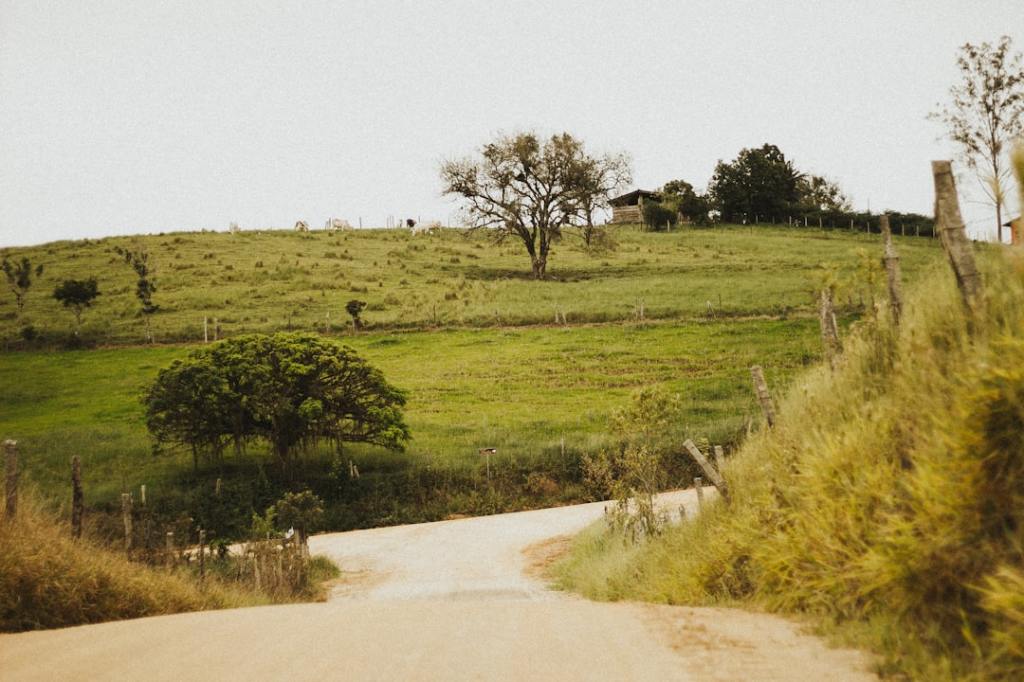 Una apuesta por la ruralidad: la transformacion de Huenu en&nbsp;Trevelin
