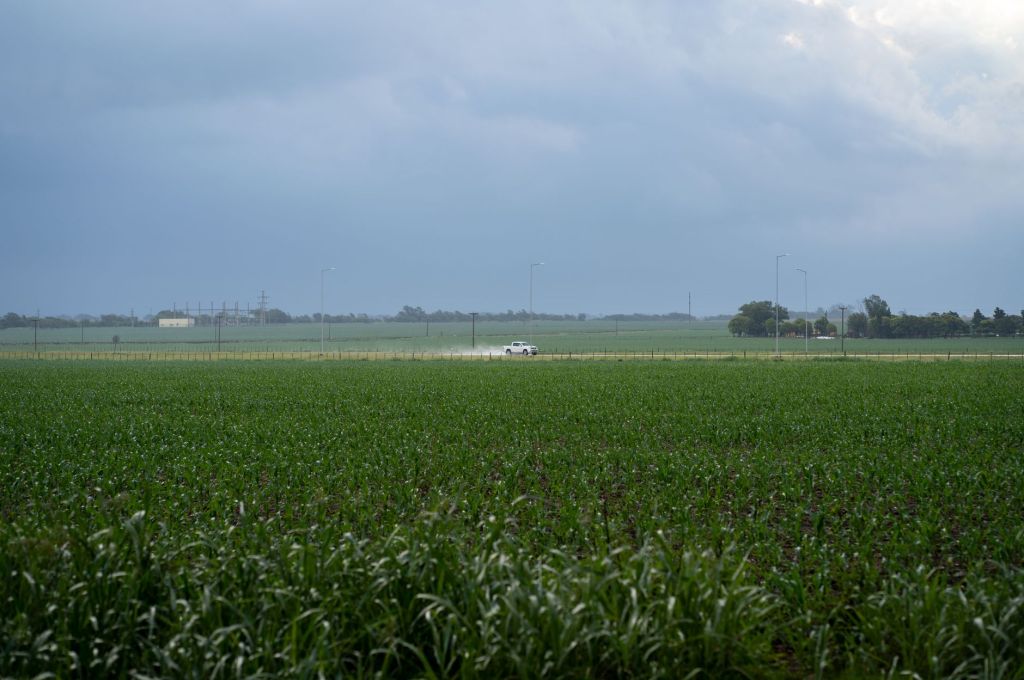 Mercosur-UE: exportaciones agroindustriales al viejo continente crecen&nbsp;21%
