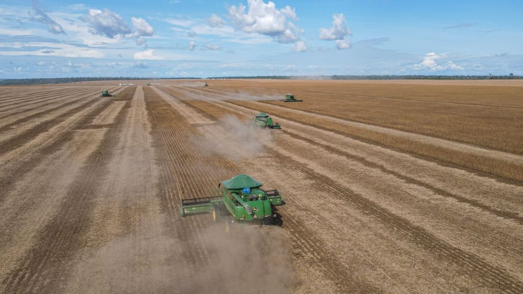 Exportaciones agroindustriales argentinas alcanzan un nuevo pico histórico