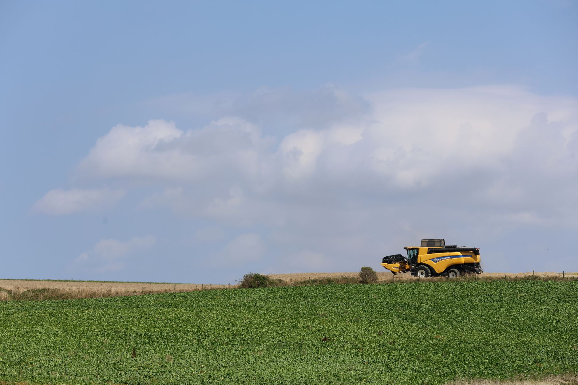 Agroexportaciones alcanzan nivel máximo con fuerte suba en septiembre