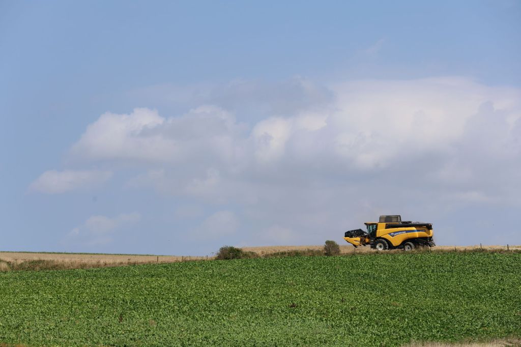 Agroexportaciones alcanzan nivel máximo con fuerte suba en septiembre