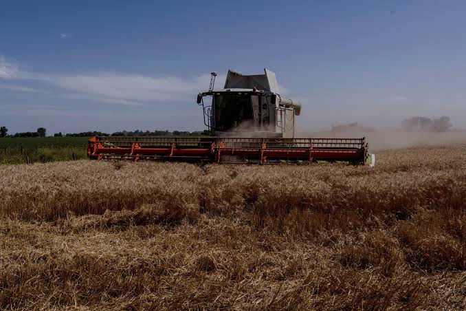Récord de exportaciones del campo argentino: se vendieron casi 89 millones de toneladas y el agro sigue impulsando la&nbsp;economía